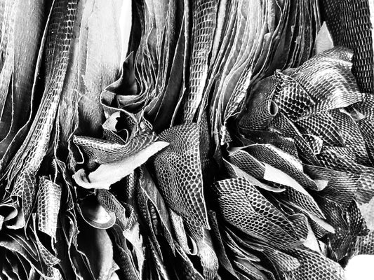 新・定番素材について