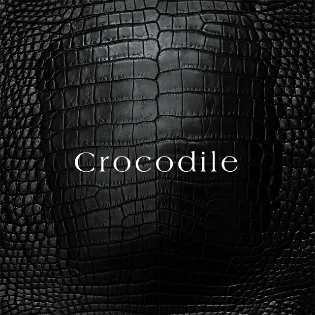 Jumpin' Jack - Crocodile Leather Tongue Cardcase