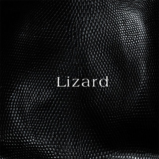 pour AirTag - Keyring